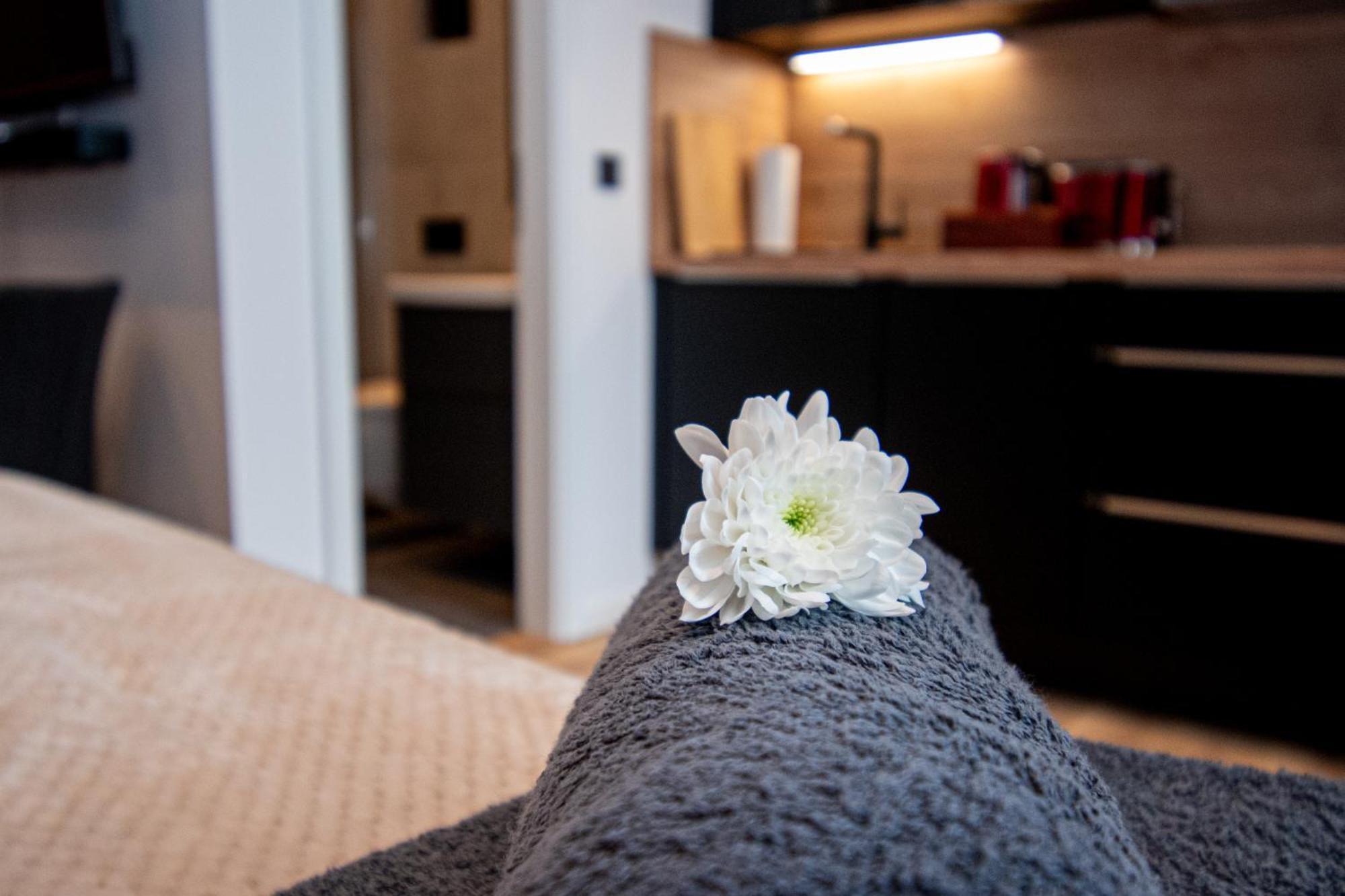 Sweethome - Zentral - Kueche & Parkplatz, Wifi Halle  Esterno foto
